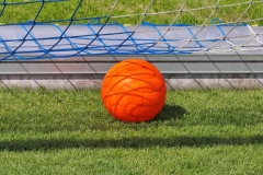 P1030270